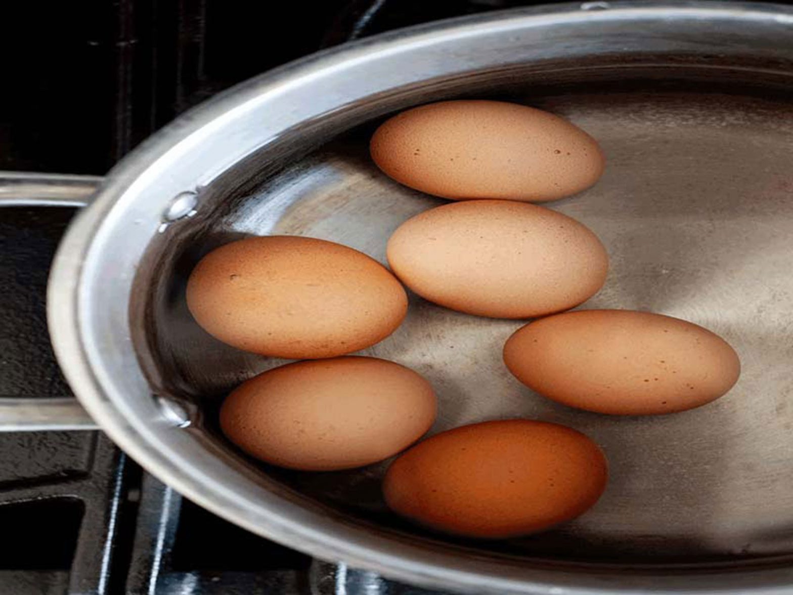 Yumurtaları Evde Pastörize Etme