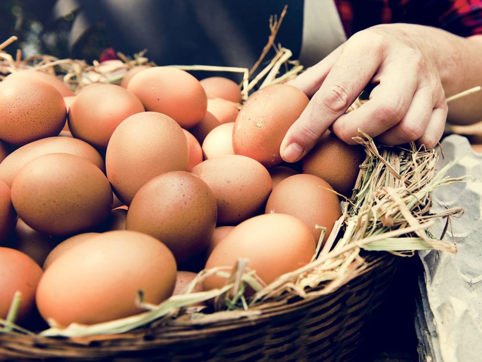 Yumurtalarınızın Kötü Olduğunu Nasıl Anlayabiliriz