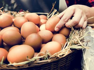 Yumurtalarınızın Kötü Olduğunu Nasıl Anlayabiliriz